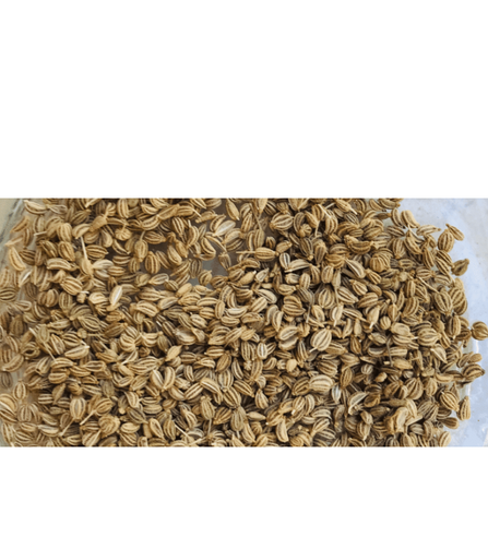 Electronics Black Wrist Watch