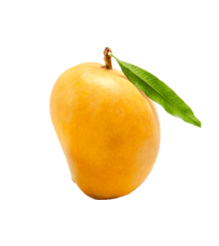 Electronics Black Wrist Watch