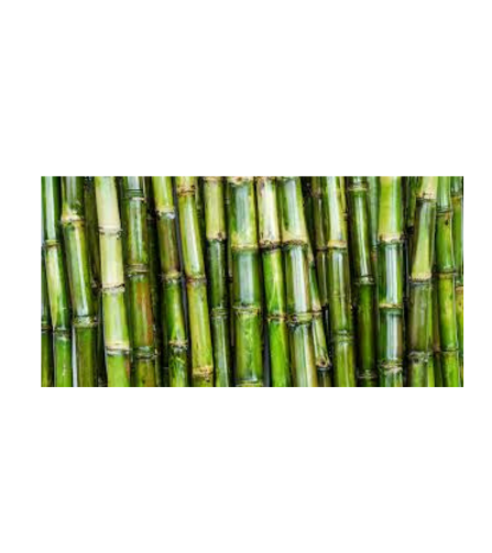 Electronics Black Wrist Watch