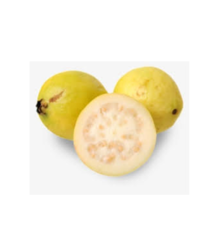 Electronics Black Wrist Watch