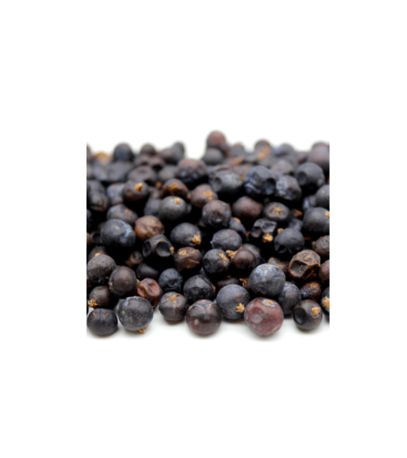 Electronics Black Wrist Watch