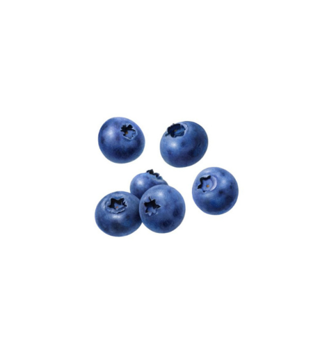 Electronics Black Wrist Watch