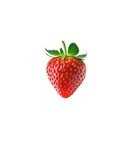 Electronics Black Wrist Watch