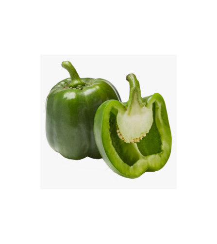 Electronics Black Wrist Watch