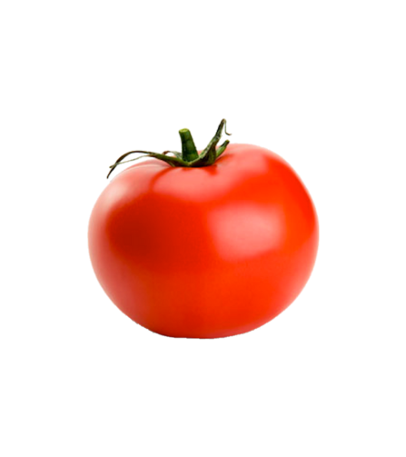 Electronics Black Wrist Watch