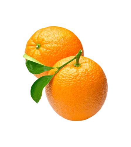 Electronics Black Wrist Watch