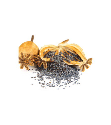 Electronics Black Wrist Watch