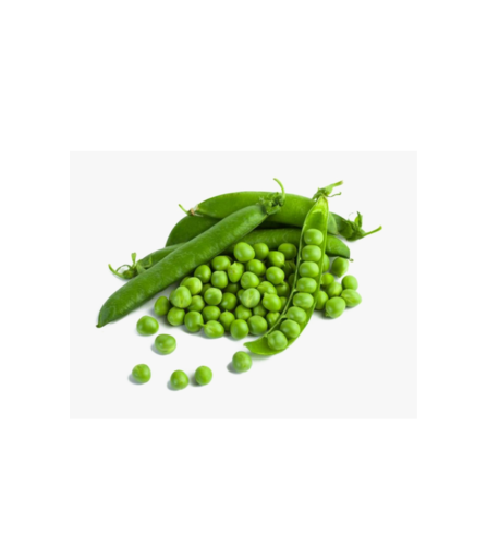 Electronics Black Wrist Watch