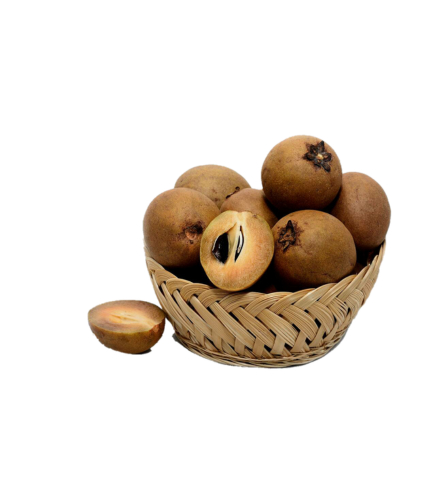 Electronics Black Wrist Watch