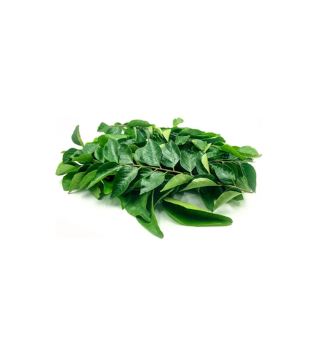 Electronics Black Wrist Watch