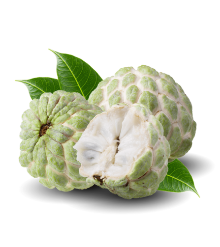 Electronics Black Wrist Watch