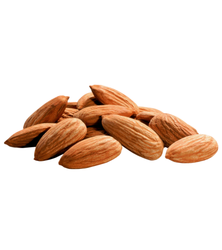 Electronics Black Wrist Watch