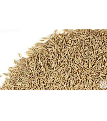 Electronics Black Wrist Watch