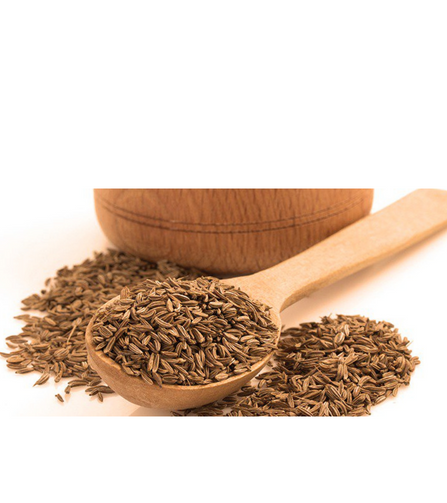 Electronics Black Wrist Watch