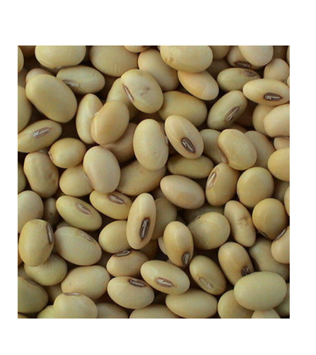 Electronics Black Wrist Watch