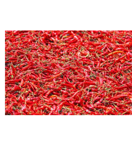 Electronics Black Wrist Watch