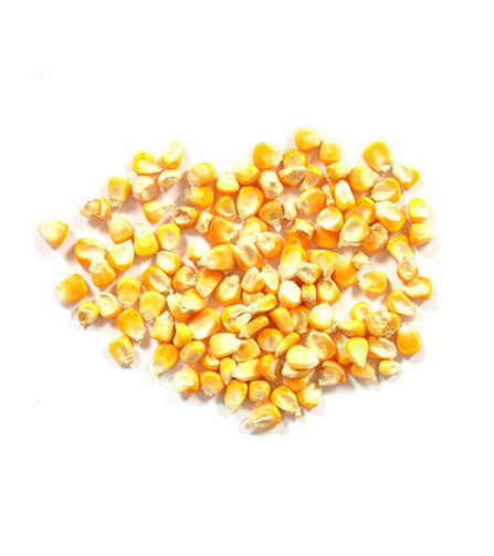 Electronics Black Wrist Watch