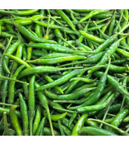 Electronics Black Wrist Watch