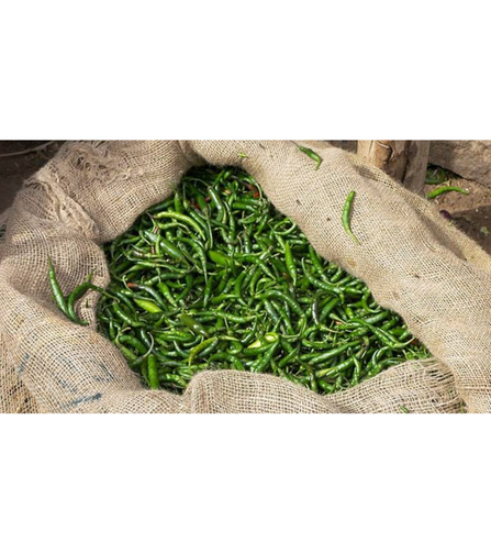 Electronics Black Wrist Watch