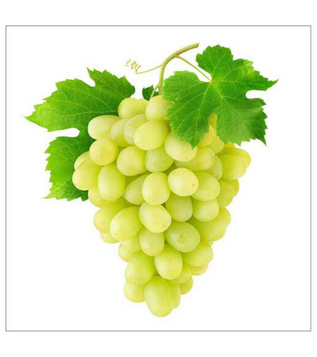 Electronics Black Wrist Watch