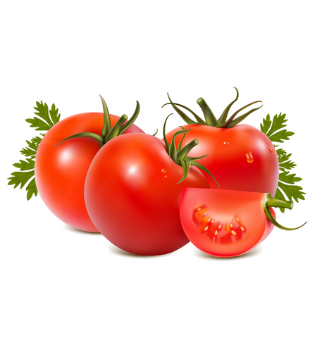 Electronics Black Wrist Watch