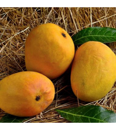 Electronics Black Wrist Watch