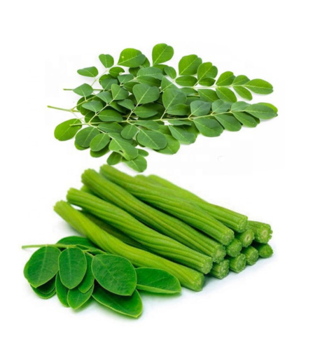 Electronics Black Wrist Watch