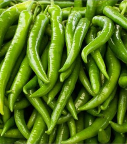 Electronics Black Wrist Watch