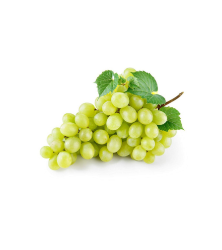 Electronics Black Wrist Watch