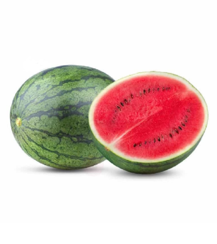 Electronics Black Wrist Watch