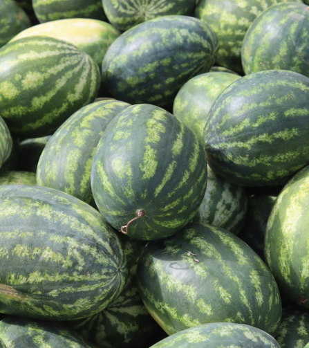 Electronics Black Wrist Watch