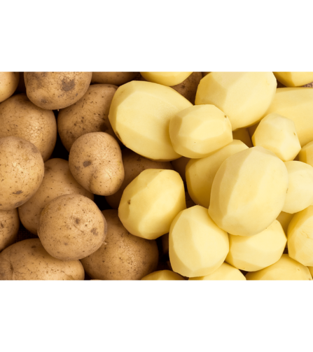 Electronics Black Wrist Watch