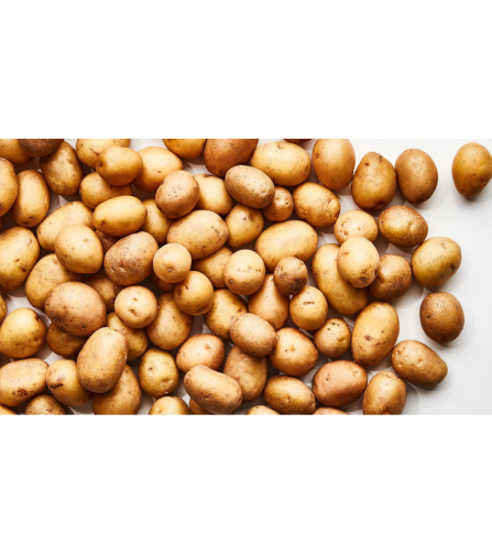 Electronics Black Wrist Watch