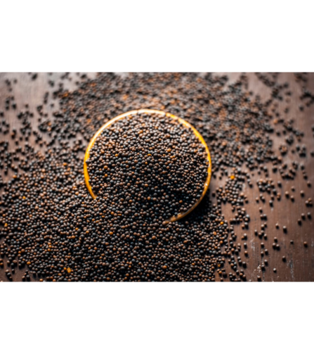 Electronics Black Wrist Watch