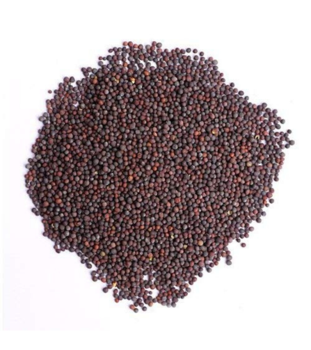 Electronics Black Wrist Watch