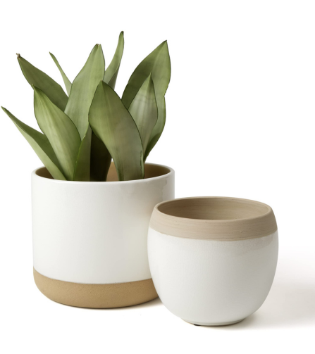 Electronics Black Wrist Watch