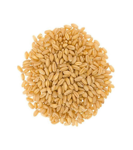 Electronics Black Wrist Watch