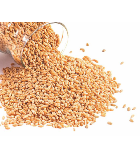 Electronics Black Wrist Watch