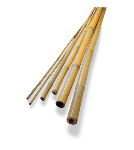 Electronics Black Wrist Watch