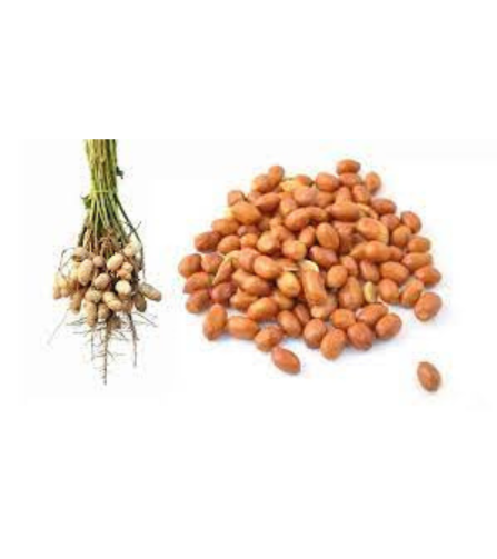 Electronics Black Wrist Watch