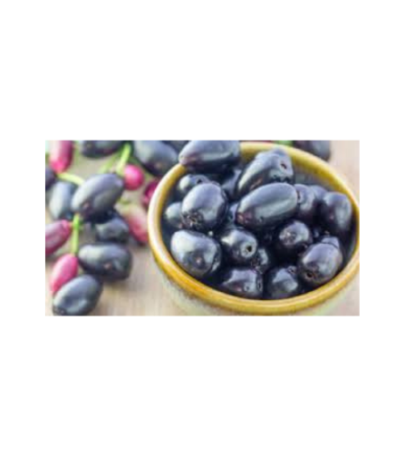 Electronics Black Wrist Watch