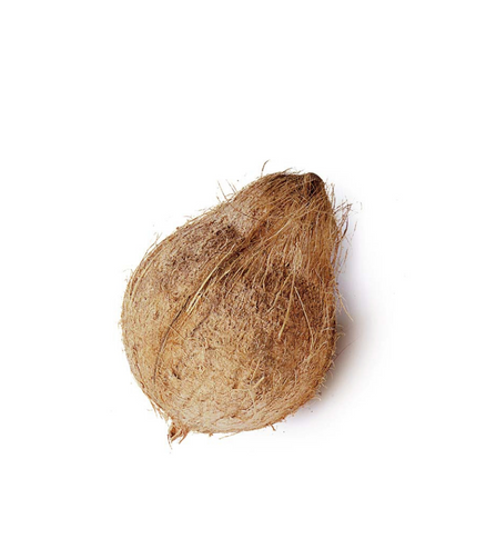 Electronics Black Wrist Watch