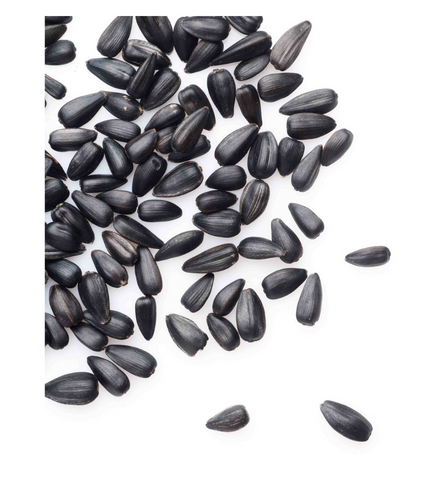 Electronics Black Wrist Watch