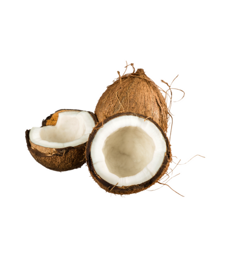 Electronics Black Wrist Watch